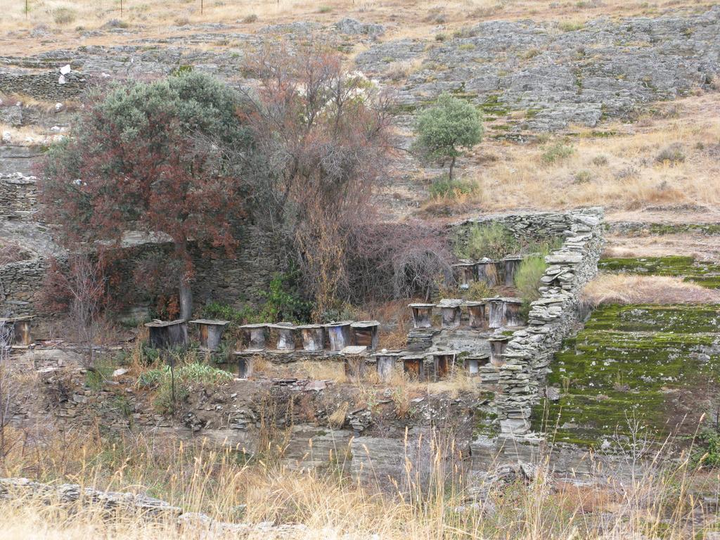 Hosteria Camino Luyego de Somoza ภายนอก รูปภาพ