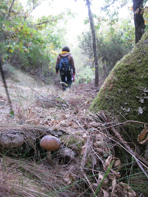 Hosteria Camino Luyego de Somoza ภายนอก รูปภาพ